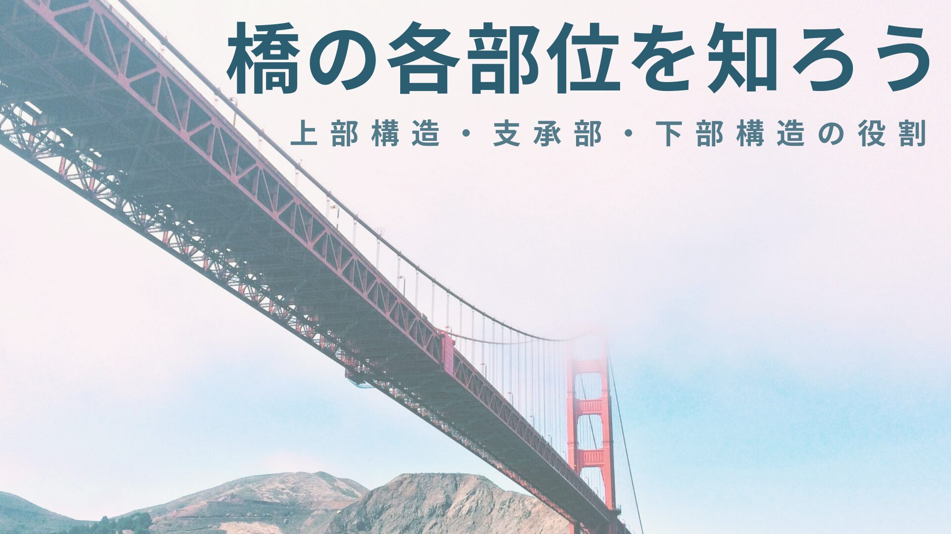 部位